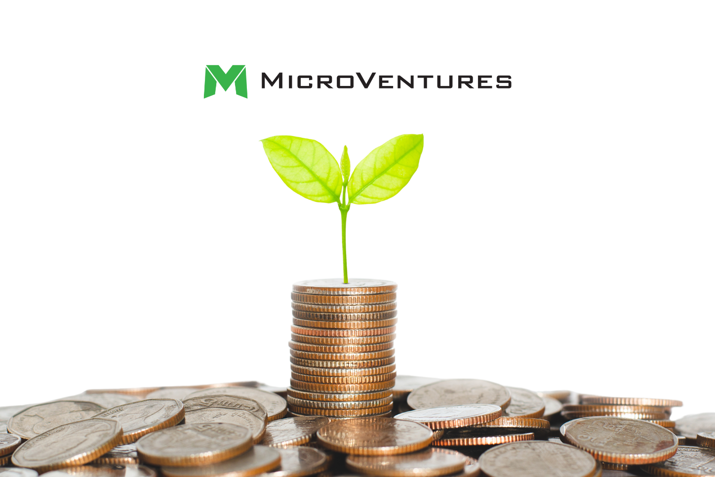 Raising Capital with MicroVentures