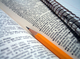 Essential Venture Capital Terms You Should Know