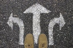 Choosing the Right Startup Investment