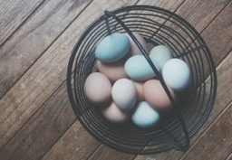 Counteracting the Risks of Private Equity