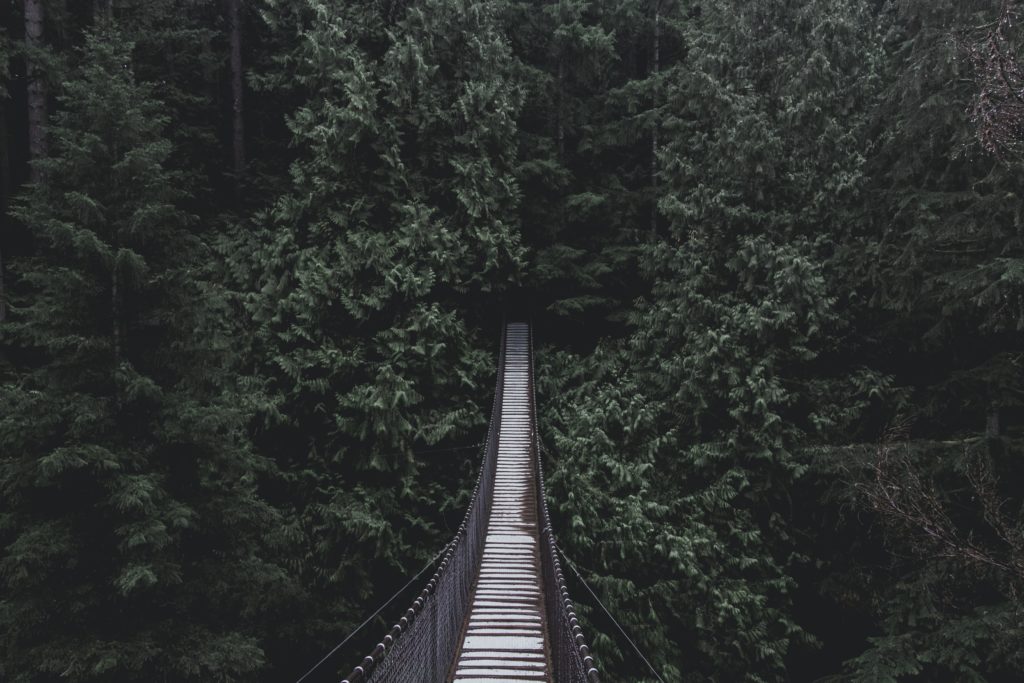 Startup Financing: Understanding Bridge Rounds