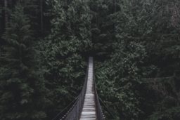 Startup Financing: Understanding Bridge Rounds