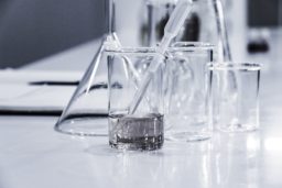 Equity Dilution in Startups