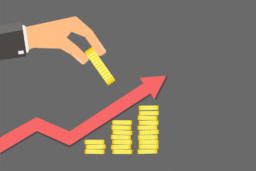 Understanding Pro Rata Rights