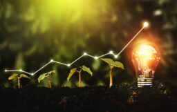Beyond Profit: Achieving Sustainable Entrepreneurship