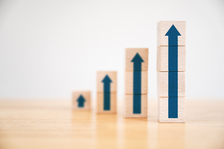 Top Line Growth vs. Bottom Line Growth