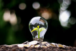 Startup Funding Rounds Explained