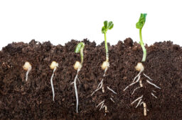 From Prototype to Product-Market Fit: Seed vs Series A Funding