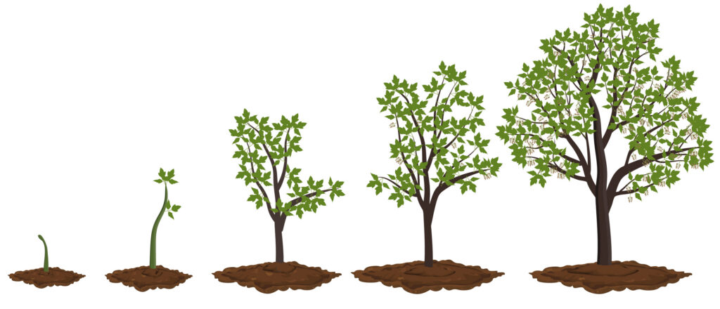 Early-Stage and Late-Stage Companies