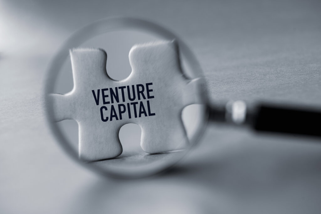 Demystifying Venture Capital: How it Works and How to Attract VC Funding