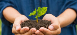 Earlier vs Later: Pre-Seed vs Series A Investments