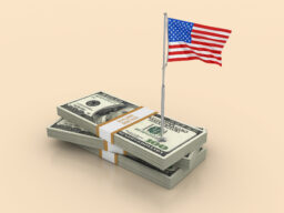How Government Grants and Incentives Impact Private Investing