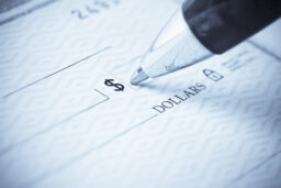 VC Democratization: Small Check Investments