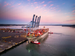 The Growth of Supply Chain and Logistics Tech