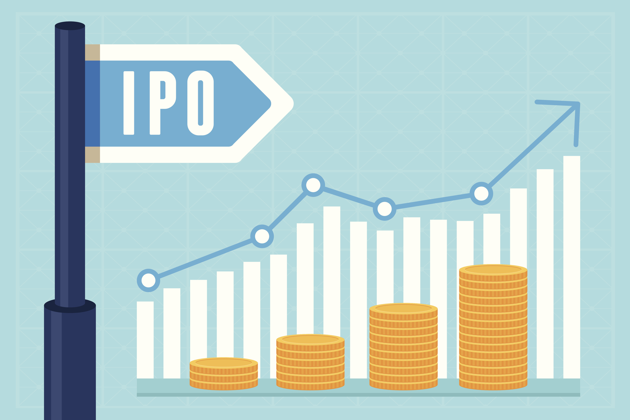 2024 IPO Check-in