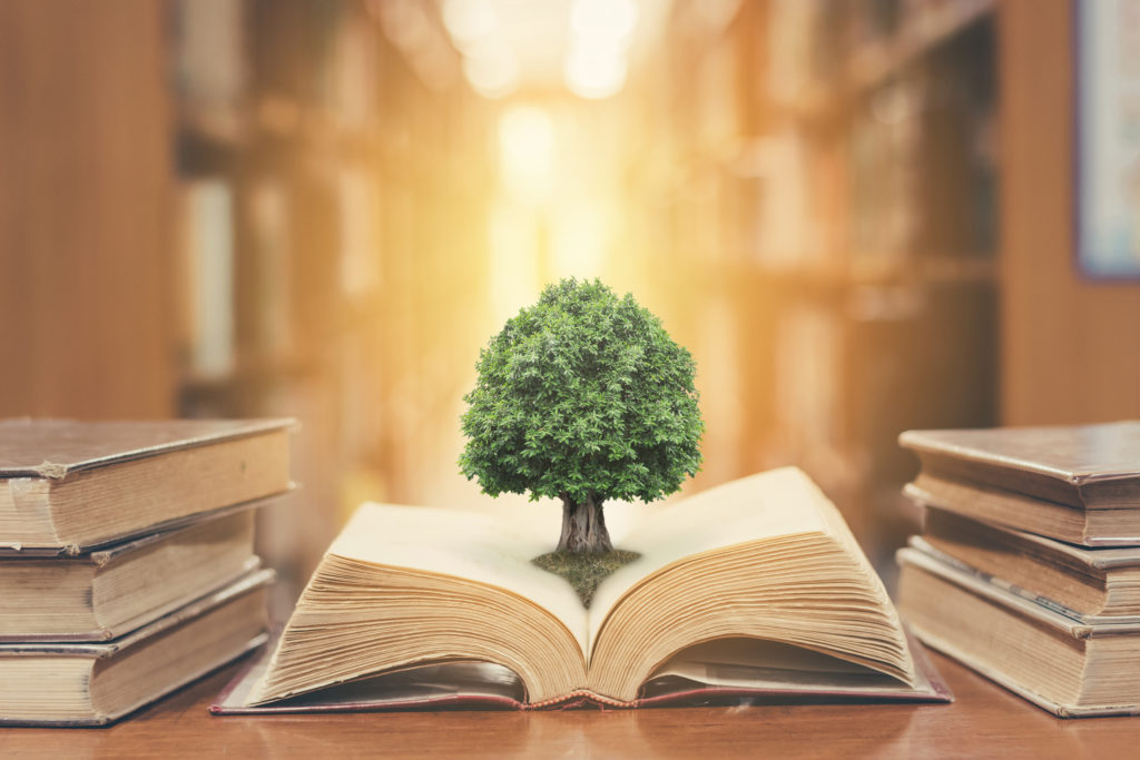 History of Alternative Investments