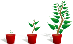 Accelerators vs. Incubators: What’s the Difference?
