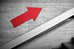 What it Takes to Successfully Scale Your Startup